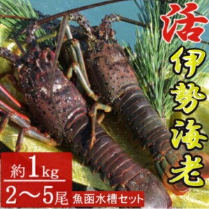 yӂ邳Ɣ[Łz ɐCV 2`5 1kg  Zbg ɐCV CV  ы hg Yn VN CN m ˎs