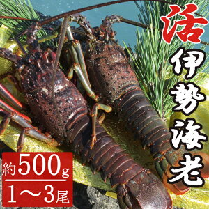yӂ邳Ɣ[Łz ɐCV 1`3 0.5kg ɐCV CV Gr  ы hg Yn VN CN   m ˎs
