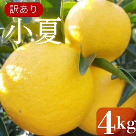 【ふるさと納税】 訳あり 小夏4kg 日向夏 ニューサマーオレンジ 先行予約 数量限定 土佐小夏 家庭用 産地直送 柑橘 高知県 室戸市 農家直送 果物 フルーツ