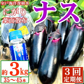 【ふるさと納税】【定期便3回発送】農家直送　土佐の美味茄子の新鮮ナス　3kg　（室戸海洋深層水にがり使用） 野菜 なす ナス 常温 小袋 国産 夏野菜 茄子 小分け 旬 21000円 高知 bn009