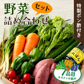 【ふるさと納税】【コロナ緊急支援品】野菜 7種類 詰め合わせセット(特製ポン酢付) 新鮮 旬 春 おまかせ 5000円 故郷納税 送料無料 rk002