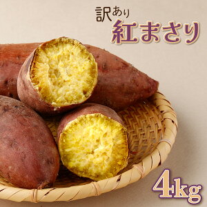 yӂ邳Ɣ[Łz ʌ @肽āI܁`󂠂V܂ig܂j4kg  ܈  Tc}C Â Ă XC[g|eg ӂ邳Ɣ[ 