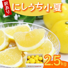 【ふるさと納税】先行予約 【訳あり】 室戸小夏2.5kg 柑橘 みかん ミカン こなつ かんんきつ 訳あり わけあり フルーツ 果物 送料無料