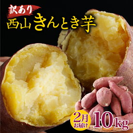 【ふるさと納税】 【令和8年2月お届け】 【訳あり】 西山きんとき芋 10kg さつまいも サツマイモ さつま芋 焼き芋 やきいも ヤキイモ 野菜 大小混合 傷 故郷納税 送料無料