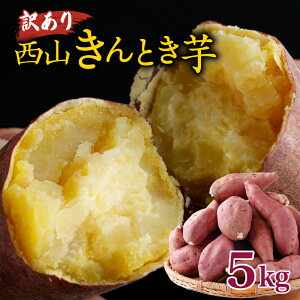 yӂ邳Ɣ[Łz y󂠂z RƂ 5kg b ܂  Tc}C 󂠂 킯 Yn ܈ lC LO   Ă  ̋[ s\ m 