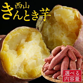 【ふるさと納税】 西山きんとき芋 5kg ~10kg｜ 秀品 訳あり さつまいも 芋 サツマイモ 産地直送 さつま芋 人気 ランキング おすすめ 金時芋 焼き芋 野菜 故郷納税 先行予約 高知県 室戸市
