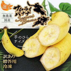 【ふるさと納税】高知県産 侍バナナ|無農薬・国産・農家直送 手のひらサイズ 3本 贈答用 訳あり 冷凍バナナ フルーツ 果物 ギフト 冷凍フルーツ バナナ サムライ スムージー