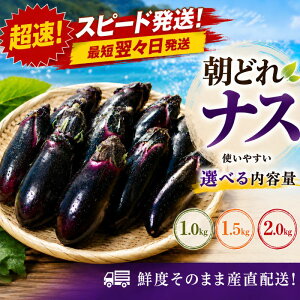 �ԗ�i�摜