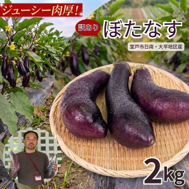 【ふるさと納税】訳あり 伝統野菜 ぼたなす 2kg なす ナス ボタナス 焼きナス とろける食感 クリーミー 希少野菜 高知県 室戸市 hb002