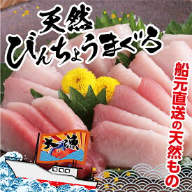 楽天市場 赤身 マグロの種 しゅ メバチマグロ マグロ 魚介類 水産加工品 食品の通販