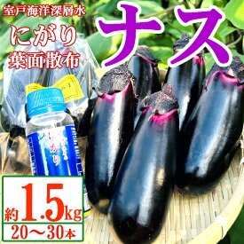 【ふるさと納税】 【最短7日以内発送！】 農家直送　土佐の美味茄子の新鮮ナス　1.5kg　（室戸海洋深層水にがり使用） 野菜 なす ナス 常温 小袋 国産 夏野菜 茄子 小分け 旬 5000円 高知 bn019