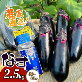 【ふるさと納税】 【最短7日以内発送！】 農家直送　土佐の美味茄子の新鮮ナス　2．5kg　（室戸海洋深層水にがり使用） 野菜 なす ナス 常温 小袋 国産 夏野菜 茄子 小分け 旬 8500円 高知 bn002