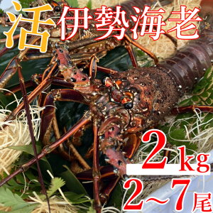 yӂ邳Ɣ[Łz ys\z ˎsYɐCV@2kg@VsARt hg  Ԃ VR Y  CN y  hk011