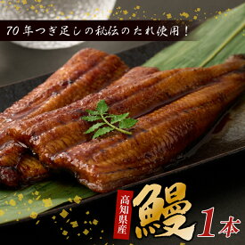 【ふるさと納税】うなぎ蒲焼き 1本 約190g～220g タレ付き ウナギ 鰻 初音 国産 高知県産 魚 魚介類 冷凍 15,000円 送料無料 hn088 土用の丑の日
