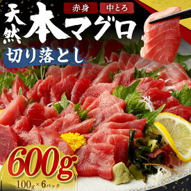 【ふるさと納税】 本マグロ (赤身・中とろ) 切り落とし 600g (100g×6パック) 天然まぐろ 鮪 刺身 刺し身 マグロ丼 魚 寿司 惣菜 海鮮丼 魚介類 食べきりサイズ 小分け 冷凍 訳あり 海鮮 漬け 丼 不揃い マグロ漬け丼 傷 規格外 送料無料