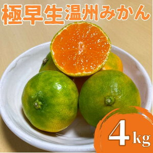 yӂ邳Ɣ[Łz ys\zɑB݂4kg mˎsY ݂ ~J k t[c ʕ Yn _ƒ ʌ ʕ W[X [[ fU[g