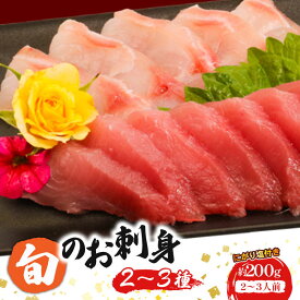 【ふるさと納税】 ほんとにおいしい！室戸のお刺身　2〜3種盛り合わせお楽しみセット（2〜3人前） 魚 魚介 海鮮 お刺し身 旬 惣菜 冷蔵 詰め合わせ 送料無料 hn103