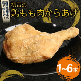 【ふるさと納税】 初音 彩どり 鶏もも肉からあげ 1本約310g 骨付き 味付き 唐揚げ 唐揚 肉 鶏肉 もも肉 モモ肉 鳥肉 とり肉 惣菜 冷凍 簡単調理 送料無料 hn013