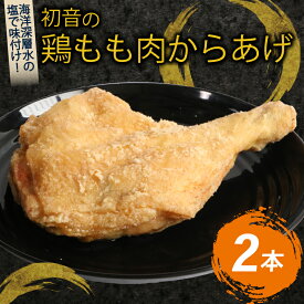 【ふるさと納税】 初音 彩どり 鶏もも肉からあげ 2本 約310g×2 骨付き 味付き 唐揚げ 唐揚 肉 鶏肉 もも肉 モモ肉 鳥肉 とり肉 惣菜 冷凍 簡単調理 送料無料 hn014
