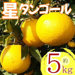 yӂ邳Ɣ[Łz ys\z ^S[ 5kg ݂ k  ^S[ IW ʕ t[c mYk _ƒ  ʏ`  T}[ 4o׊Jn 12000~ 
