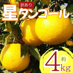 yӂ邳Ɣ[Łz ys\z y󂠂z^S[ 4kg ݂ k IW  ^S[ ʕ t[c mYk _ƒ  ʏ`  T}[ 4o׊Jn 