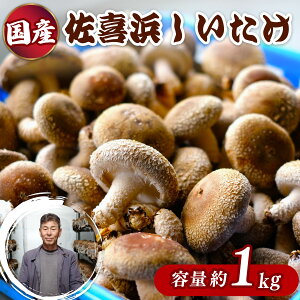 yӂ邳Ɣ[Łz l 1kg 20`30  ۏ ő VC^P  ̂ LmR 10000~ 1~  nc007