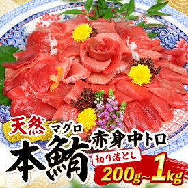 【ふるさと納税】 【容量選べる】本マグロ 赤身 中とろ 切り落とし 200g ～ 1kg | 小分け 冷凍 天然まぐろ 鮪 刺身 刺し身 ふるさと納税魚介 寿司 惣菜 海鮮丼 魚介類 ふるさと納税まぐろ 訳あり ふるさと納税海鮮 漬け丼 不揃い マグロ漬け丼 規格外 5000円 人気 高知県