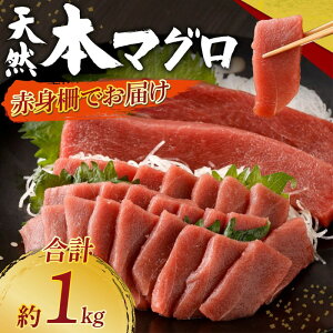 yӂ邳Ɣ[Łz L VR{܂ ԐgTN v1kg hg hg  }O  炵i 芪i  CN  ^pbN y 󂠂 KiO Ⓚ 