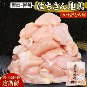 yӂ邳Ɣ[Łz Iׂ { ނ˓  Jbg  Y͂n{ ^pbN 500g 3 6 12 {  g Ă BBQ lC g₷ Y{ ⓀHi  {