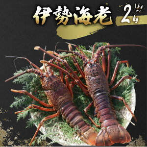 �y�ӂ邳�Ɣ[�Łz �� �ɐ��C�V 1kg�`2kg �����ɐ��C�V ���ˎY ���Y �G�r ���� �C�N ���� �Y�n���� �v���v�� ���X�` �h�g �Ă��� �`�� ���ˊC�m�[�w�� ���� �������� ���m�� ���ˎs