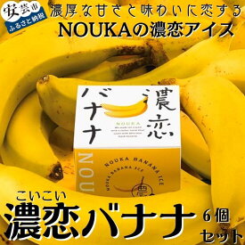 【ふるさと納税】高知県産・高糖度完熟バナナアイス NOUKAの濃恋バナナ 6個セット