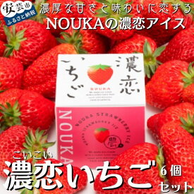 【ふるさと納税】甘み際立つ濃厚風味のご褒美アイス NOUKAの濃恋いちご 6個セット