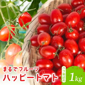 【ふるさと納税】 先行受付 トマト 選べる 1 ~ 3kg 野菜 フルーツトマト 高糖度 甘い 新鮮 産地直送 ミニトマト サラダ 贈答用 ギフト プレゼント 栄養 健康 ビタミン リコピン 夏野菜 旬 サラダ パスタ スープ 農家 農園 自然 安芸市 高知県