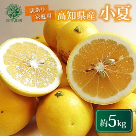 【ふるさと納税】 先行予約 小夏 5kg わけあり 家庭用 5キロ 柑橘類 果物 フルーツ 訳あり メリーガーデン 贈答用 ジューシー 高知特産 旬 季節限定 国産 citrus 農家直送 産地直送 自然派 おやつ デザート 訳あり品 安芸市 高知県