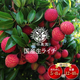 【ふるさと納税】 先行予約 生ライチ 令和9年産 5個 ～ 8個 12個 ～18個 選べる おためし 定番 ライチ メリーガーデン 高級 贈答 ギフト フルーツ R9年産 果物 旬 産地直送 国産 新鮮 特産品 季節限定 数量限定 フレッシュ デザート おやつ 贅沢 プレゼント 安芸市 高知県