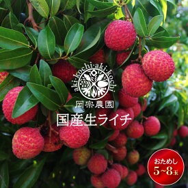 【ふるさと納税】 先行予約 生ライチ 令和8年産 5個 ～ 8個 12個 ～18個 選べる おためし 定番 ライチ メリーガーデン 高級 贈答 ギフト フルーツ R8年産 果物 旬 産地直送 国産 新鮮 特産品 季節限定 数量限定 フレッシュ デザート おやつ 贅沢 プレゼント 安芸市 高知県