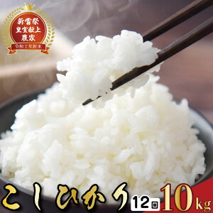 yӂ邳Ɣ[Łz Xs[h ߘa7NY  RVqJ Iׂ 5kg 10kg 3 4 6 12   V   _ƒ  ͂ Ђ   ͂ R7N ߘa7N 