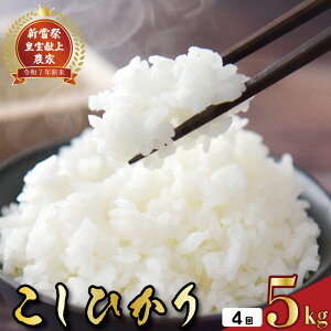 yӂ邳Ɣ[Łz  Xs[h ߘa7NY   5kg 4 RVqJ  5L × 4 20kg 4A ͂ V ͂   Y { R7N p 蕨 Mtg  Hi 