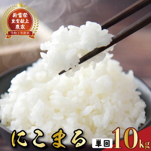 yӂ邳Ɣ[Łz s\ ߘa7NY  10kg ɂ܂ VՎ 10L  V _ƒ  ͂  Yn lC uh p Mtg Hi H S S v