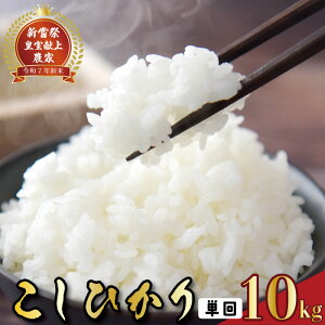 yӂ邳Ɣ[Łz Xs[h ߘa7NY  RVqJ 10kg  V 10L   _ƒ  Ђ   ͂ R7N ߘa7N R Hi O i Mtg u