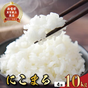 yӂ邳Ɣ[Łz s\ ߘa7NY VՎ ɂ܂ Iׂ 5kg 10kg 1 4  _ƒ  R    ͂ R uh   lC p 