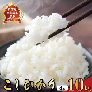 yӂ邳Ɣ[Łz ߘa7NY   RVqJ 10kg 4 40kg 4A ͂   R   ͂ R V Yn p ߘa7N R7N  lC _ƒ Hi 