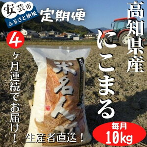 yӂ邳Ɣ[Łz s\ ߘa7NY 4A  10kg×4 ɂ܂    ͂ R R   A  lC uh V Hה p 蕨 M