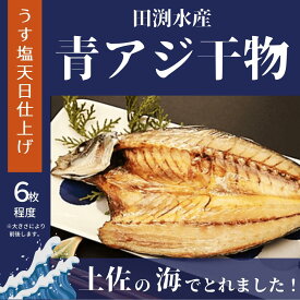 【ふるさと納税】青アジのひらき｜田渕水産の干物　高知県安芸市　田渕水産　老舗の味　新鮮な青アジ　青アジの開き　うす塩天日　ご飯のおかず　晩酌のおともに