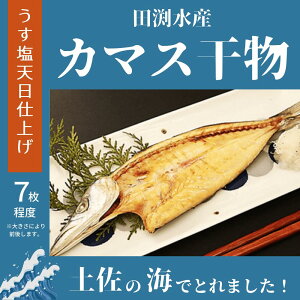 yӂ邳Ɣ[ŁzJ}X̂Ђ炫bcY̊@m|s@cY@J}X@@YHi@V@Ε@Mtg