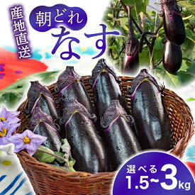 【ふるさと納税】 朝採れ ナス 選べる 1.5kg or 3kg 農家直送 新鮮 茄子 なす ナスビ 薄皮 漬物 味噌汁 カレー 中華料理 野菜 夏野菜 ベジタブル 農産物 旬 季節 食材 料理 レシピ 健康 ビタミン ミネラル 栄養 食物繊維 安芸市 高知県