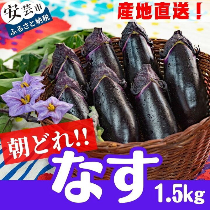 楽天市場】【ふるさと納税】農家直送! 朝採れナス1.5kg 高知県安芸市産 