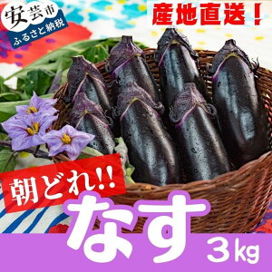 yӂ邳Ɣ[Łz ̂ iX Iׂ 1.5kg or 3kg _ƒ VN ֎q Ȃ iXr  Е X` J[ ؗ  Ė xW^u _Y { G H  Vs N r^~ 
