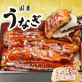【ふるさと納税】 厳選!!高知県産うなぎの蒲焼き(1尾) 3回定期便　特製たれで味わう　四万十川など清流が多い高知県産のウナギ　国産　地域で人気の有名店　安芸市　送料無料