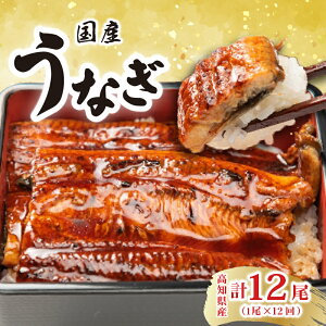 yӂ邳Ɣ[ŁzI!!mYȂ̊Ă(1) 12ց@Ŗ키@l\ȂǐmỸEiM@Y@nŐlC̗LX@|s@